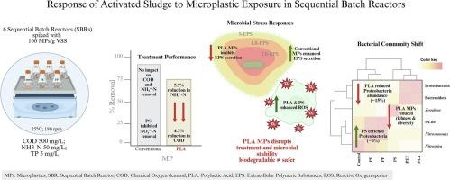 Differential impacts of conventional and biodegradable microplastics on treatment performance and bacterial community in sequencing batch reactors