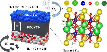 Effect of Nb and Y co-doping on the layered perovskite cathode of protonic ceramic fuel cells