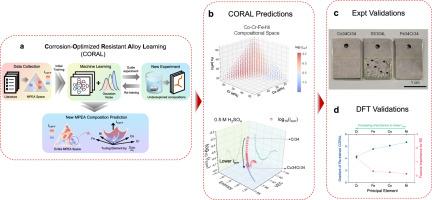 Microstructure-agnostic deep learning for mechanistic discovery of corrosion-resistant Co-Cr-Fe-Ni MPEAs
