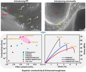 Engineered polyamide 66-based composites towards superior electrical conductivity and enhanced toughness