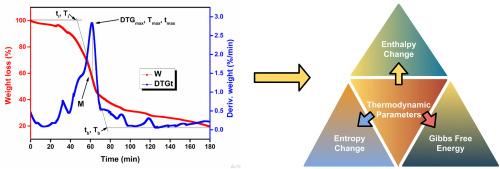 Beyond the peak temperature: An experimental evaluation of conventional vs. effective thermodynamic models for biomass pyrolysis