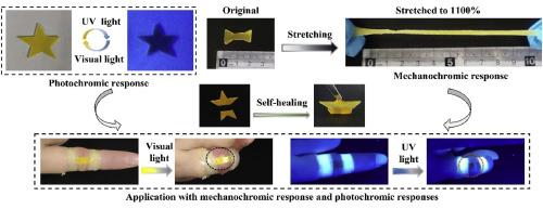 Dual photochromic/mechanochromic responses of self-healing cellulose-based film for anti-counterfeiting and damage warning