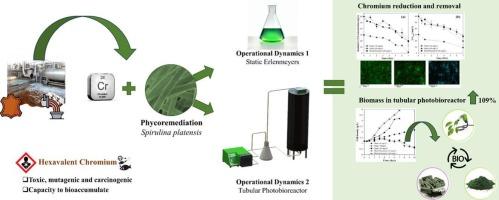 Advanced photobioreactor strategy for chromium phycoremediation with Spirulina platensis