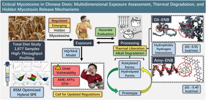 Critical mycotoxins in Chinese diets: Multidimensional exposure assessment, thermal degradation, and hidden mycotoxin release mechanisms