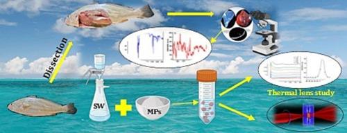 Threat to thermohaline circulation via rising thermal diffusivity in microplastic-contaminated seawater – a dual-beam thermal lens study