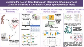 Unveiling the role of trace elements in modulating inflammatory and oxidative pathways in CAG repeat–driven spinocerebellar ataxia