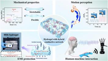 Flexible conductive hydrogels through optimized interfacial connectivity of hybrid fillers toward efficient electromagnetic interference shielding and wearable strain sensors