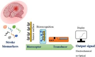 Stroke biomarkers: the promise of point-of-care testing