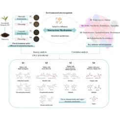 Multi-omics network analysis of flavour formation in golden-flowered Tibetan dark tea processed by “flowering” using raw materials with different fermentation degrees