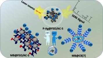 Fused multifunctional fibrous SiO2/activated carbon composites for SERS and selective pollutant adsorption