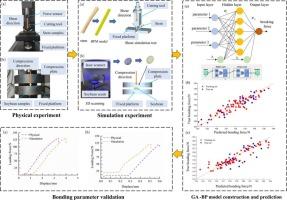 A study on the calibration method of bonding parameters for soybean threshing materials based on GA-BP model and whale optimization algorithm