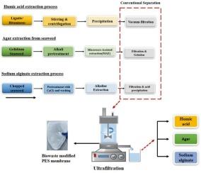 Valorization of biowaste into functional additives for membrane-based investigation of separation and fouling in polysaccharides and polyphenols production