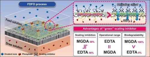 Evaluating the feasibility of green scaling inhibitors in fertilizer-driven forward osmosis process: Application of methylglycinediacetic acid (MGDA) and glutamic acid diacetate (GLDA) to replace commercial scaling inhibitors