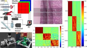 Field of view extension in Mueller matrix microscopy for whole-slide imaging of biological samples