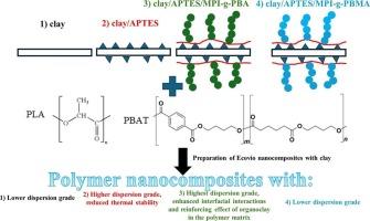Impact of the functionalized clay on the poly(lactic acid)/polybutylene adipate terephthalate (PLA/PBAT) based biodegradable nanocomposites: Thermal and rheological properties