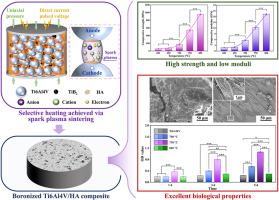 Synthesis of boronized Ti6Al4V/HA composites by low-temperature spark plasma sintering