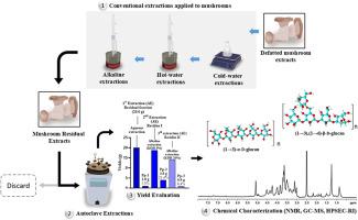 Autoclave extraction applied to residual mushroom biomass: An efficient method for high-yield polysaccharide recovery