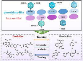 Machine learning-assisted multi-channel nanozyme sensor arrays for multiple pesticide tracking, tracing and metabolism analysis