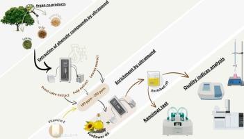 Enrichment of refined sunflower oil with phenolic extracts from argan (Argania spinosa L. (Skeels)) co-products using ultrasound-assisted extraction