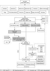 Interpretable statistical modeling of patient flow in emergency departments