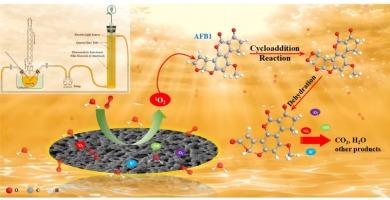 Design and construction of stainless-steel-mesh-reinforced polyimide/silver phosphotungstate/PVDF photocatalytic films for degradation of aflatoxin B1 in peanut oil