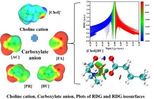 Influence of the molecular structure on physicochemical properties of choline carboxylate ionic liquids: A combined experimental and theoretical study