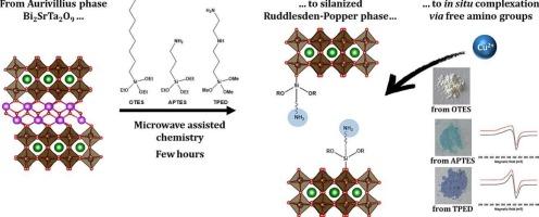 Topochemical silanization of the Aurivillius phase Bi2SrTa2O9 and post-synthesis complexation