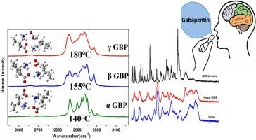 DFT and temperature-dependent Raman spectroscopic study of gabapentin polymorphism and determination of its dominant conformer in human serum