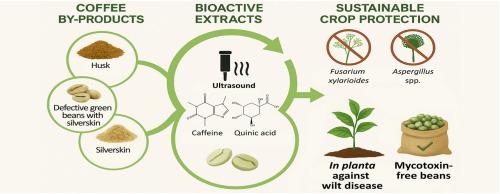 Circular economy approach to coffee processing residue valorization: Bioactive by-product extracts for managing pre- and post-harvest fungal pathogens