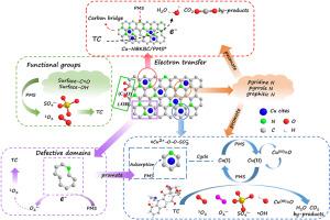 Defect-driven bifunctional Cu/N co-doped biochar for synchronized adsorption and instant catalysis in organic pollutant degradation