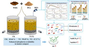 Regulating phosphorus bioavailability and dissolved organic matter dynamics through deep eutectic solvent addition in distillery waste composting