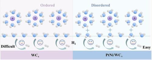 Engineering the interfacial water hydrogen-bond network for enhanced alkaline hydrogen evolution