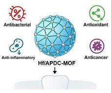 Innovative hafnium composite: efficient fabrication and advanced biomedical potential in dentistry and oral health