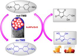 Integration of gold nanoparticles into SnS for enhanced peroxidase-like activity and colorimetric detection of ascorbic acid in fruit juice