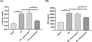 Bevacizumab alleviates kidney damage by modulating inflammation, necroptosis and apoptosis: a preclinical study of renal ischaemia/reperfusion injury in rats