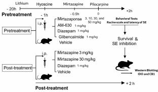 Antiseizure Effects of Mirtazapine in a Rat Model of Status Epilepticus Via Cannabinoid Receptor Modulation