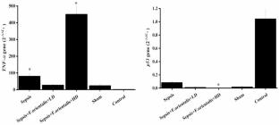 Investigation of the protective effects of ethanolic extract of ferula orientalis on lung tissue in sepsis model rat