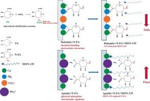 Improving the depression selectivity of fulvic acid for the efficient upgrading of phosphate ores based on nitrification modification: Flotation performance and mechanism insights