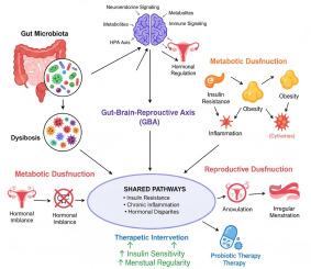 Modulating metabolism and reproductive health through microbiome driven gut-brain axis therapies