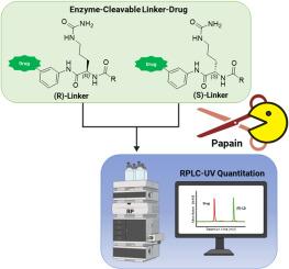 Enzymatic assay based platform for the chiral purity assessment of cathepsin-cleavable antibody-drug conjugate linker-drugs