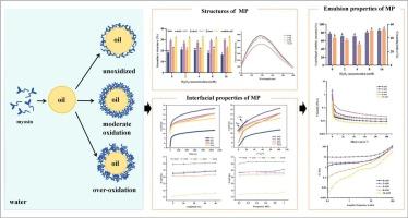 Effects of oxidation on the emulsion properties of snakehead (Channa argus) myofibrillar protein: Roles of structural and interfacial changes