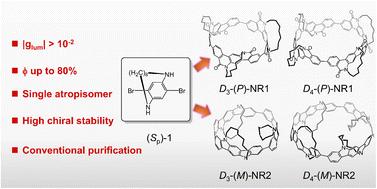 Chiral tether-guided selective synthesis of Dn-symmetric chiral conjugated nanorings