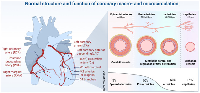 Brain‑heart axis: Neurostimulation techniques in ischemic heart disease (Review).