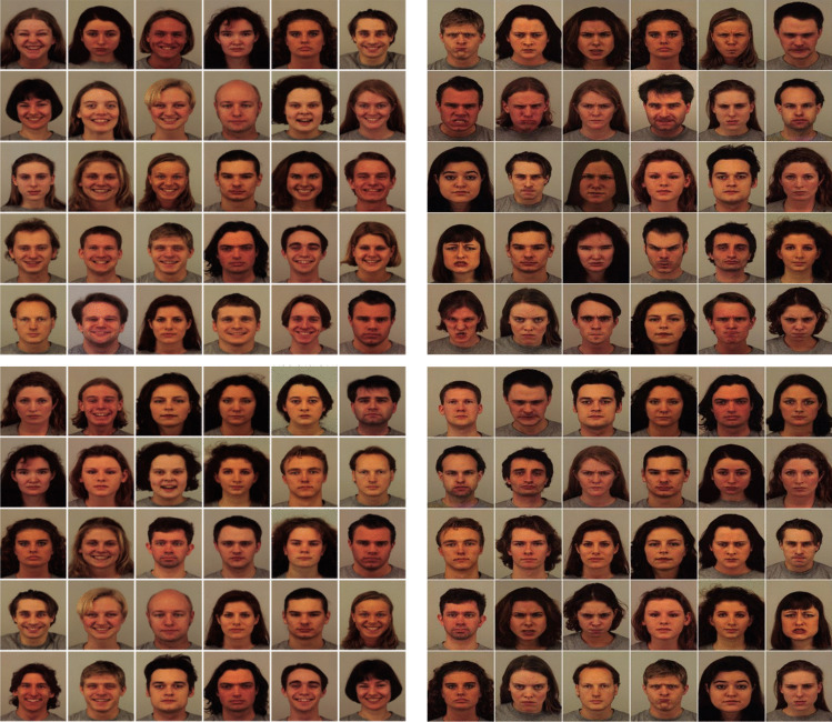 Stay calm in crowds: Avoiding emotional faces in ensemble perception