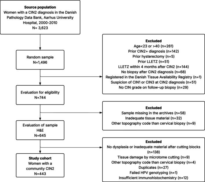 p16<sup>INK4a</sup> and HPV E4 immunohistochemistry for the prediction of regression of cervical intraepithelial neoplasia grade 2-A historical cohort study.