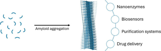 Beyond neurodegeneration: engineering amyloids for biocatalysis.