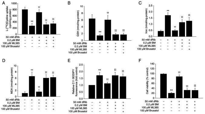 Bardoxolone methyl inhibits ferroptosis through the Keap1‑Nrf2 pathway in renal tubular epithelial cells.