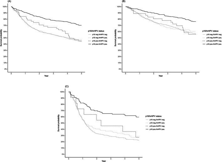 Prognostic impact of p16 and high-risk HPV DNA in ~1300 patients with vulvar cancer.