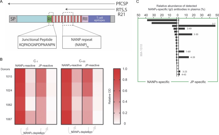 Repertoire, function, and structure of serological antibodies induced by the R21/Matrix-M malaria vaccine.