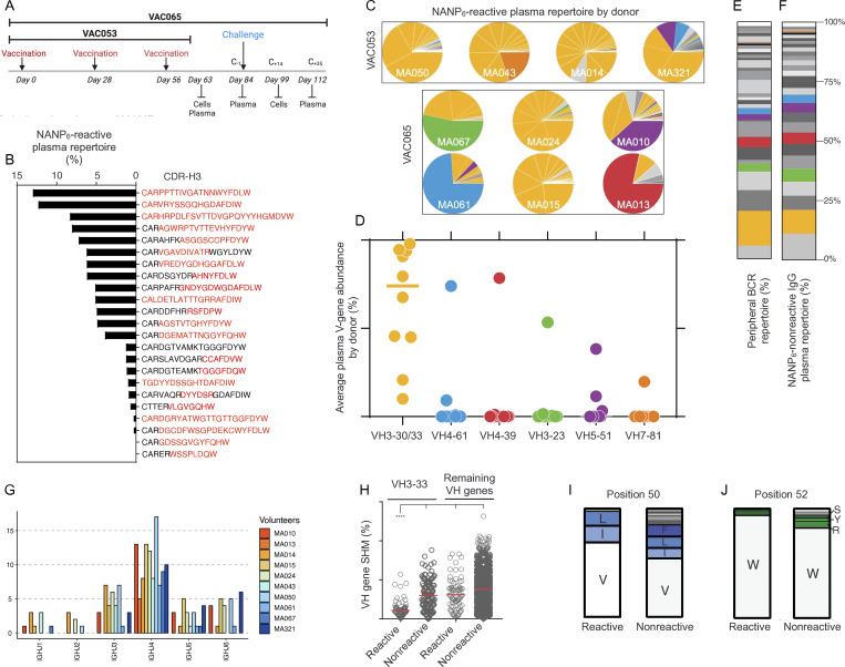 Repertoire, function, and structure of serological antibodies induced by the R21/Matrix-M malaria vaccine.